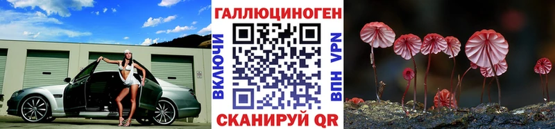 где можно купить   Тетюши  Псилоцибиновые грибы Psilocybe 